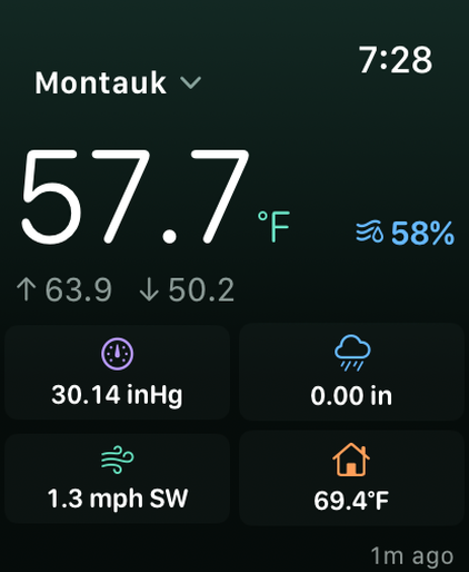 Apple Watch app with a large outdoor temperature and a grid of readings
